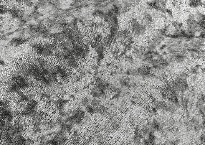 Crushed Velvet, Silver Grey - Made to Measure Curtains - Image 4